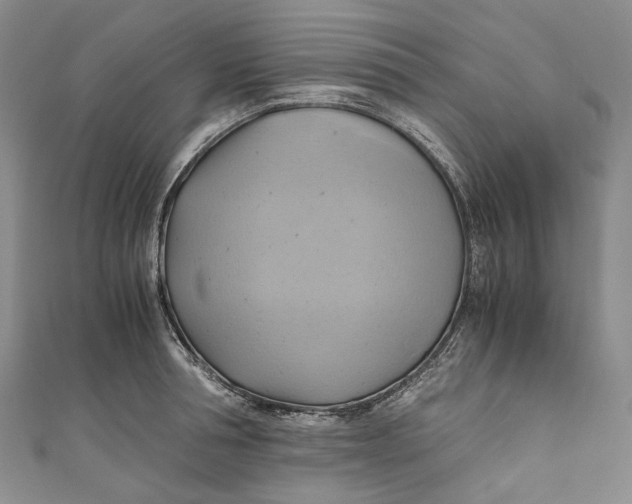 X0000110970994200907101345