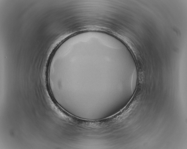 X0000110970995200907101345