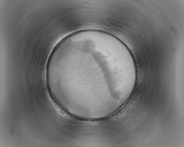 X0000110970996200907101345