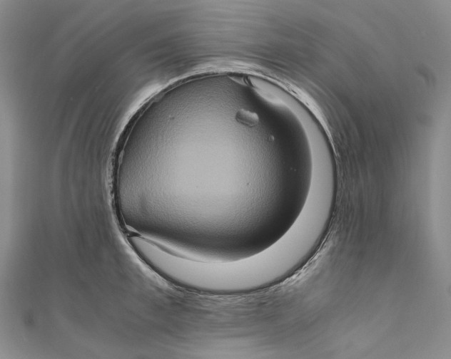 X0000110970997200907101345