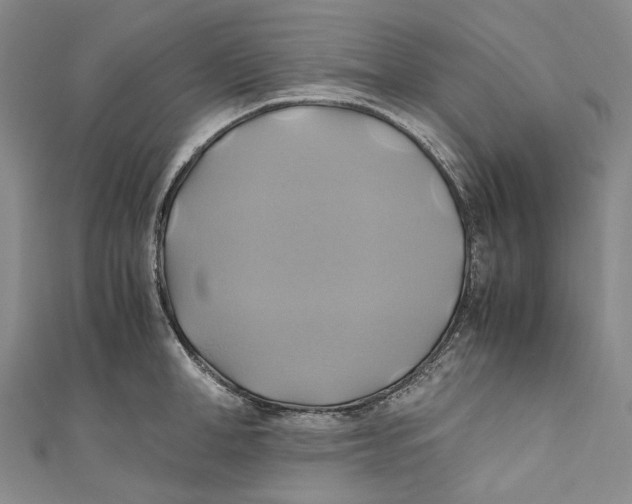 X0000110970998200907101345