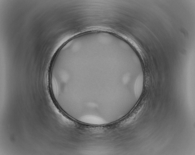 X0000110970999200907101345