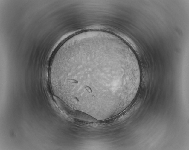 X0000110971000200907101345