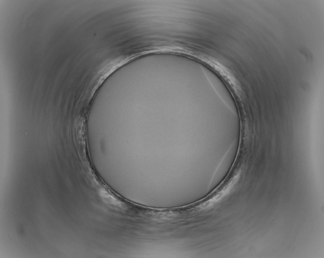 X0000110971001200907101345