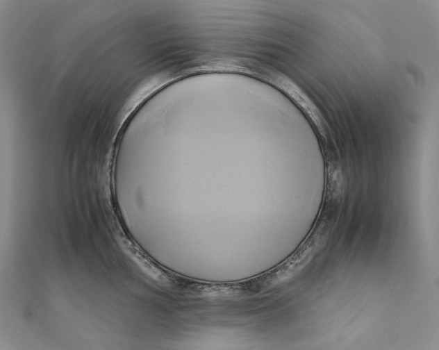 X0000110971002200907101345