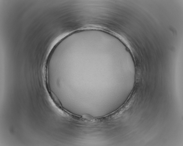 X0000110971003200907101345