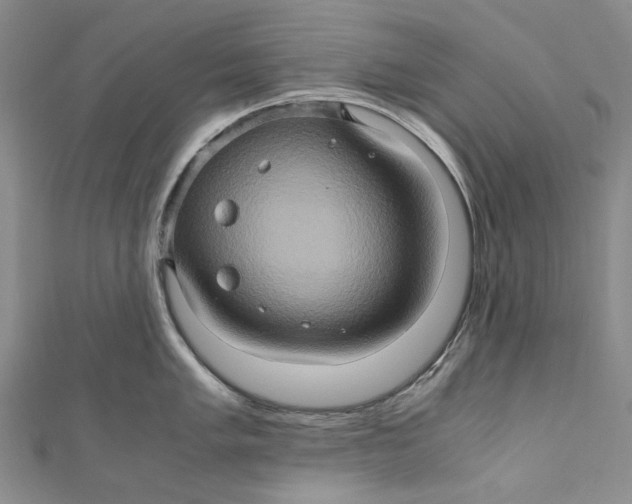 X0000110971005200907101345