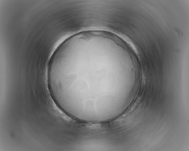 X0000110971006200907101345