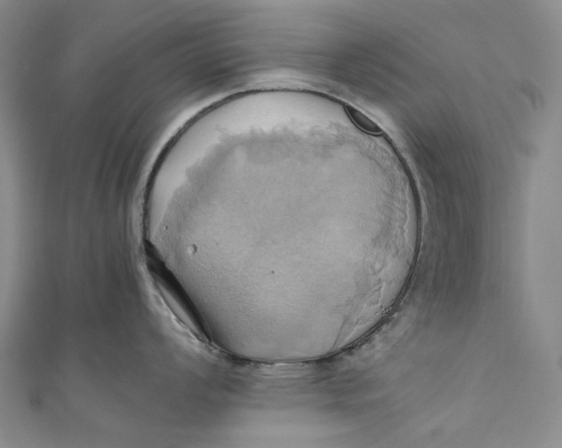 X0000110971008200907101345