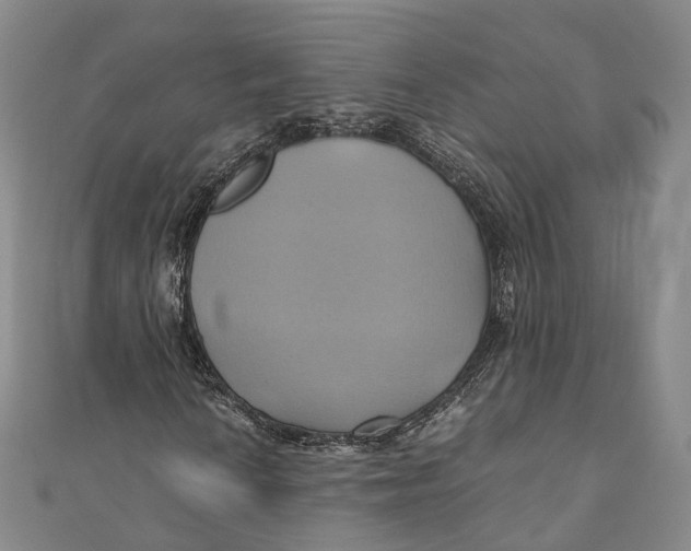 X0000110971010200907101344