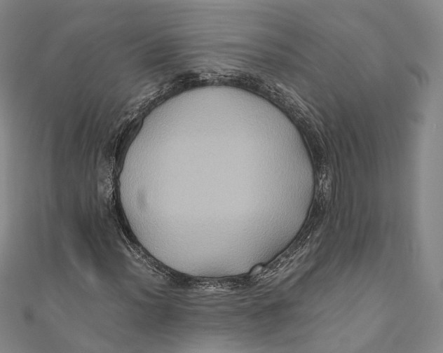 X0000110971012200907101344