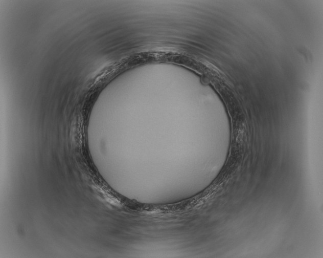 X0000110971014200907101344