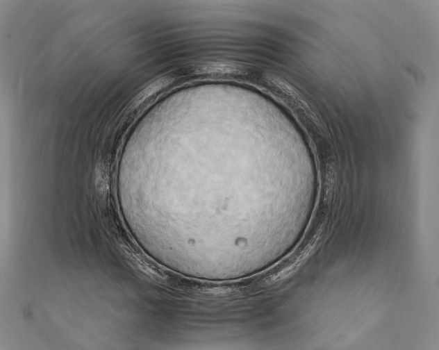 X0000110971017200907101344