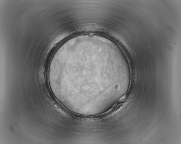 X0000110971018200907101344