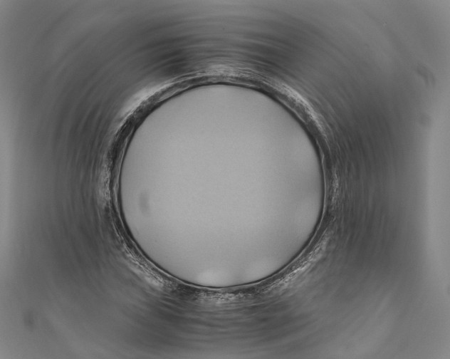 X0000110971019200907101344