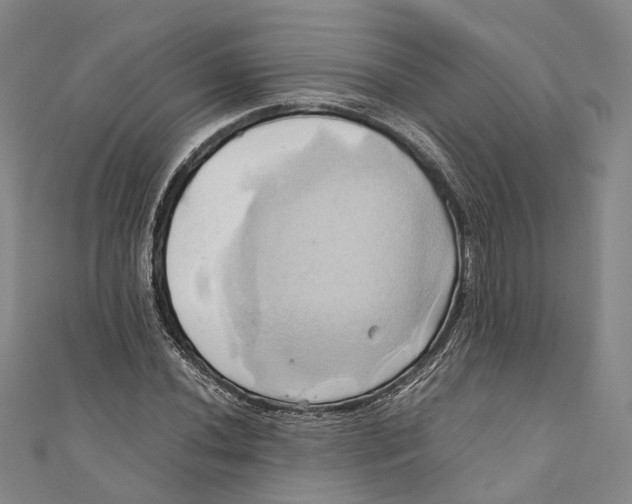 X0000110971020200907101344