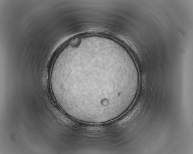 X0000110971021200907101344