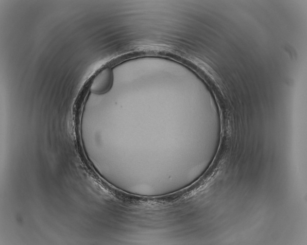 X0000110971022200907101344