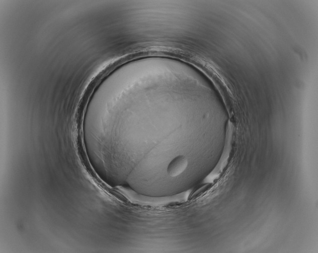 X0000110971024200907101344