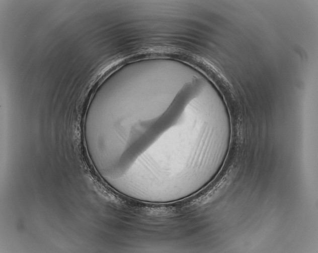 X0000110971025200907101344