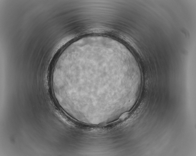 X0000110971026200907101344