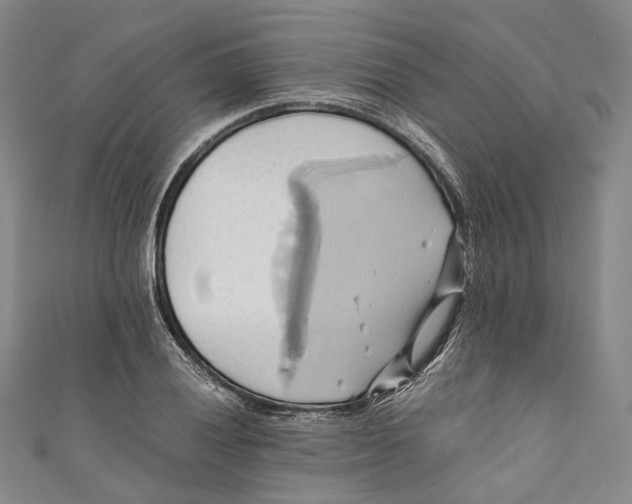 X0000110971028200907101344