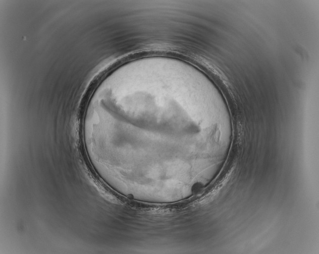 X0000110971029200907101344