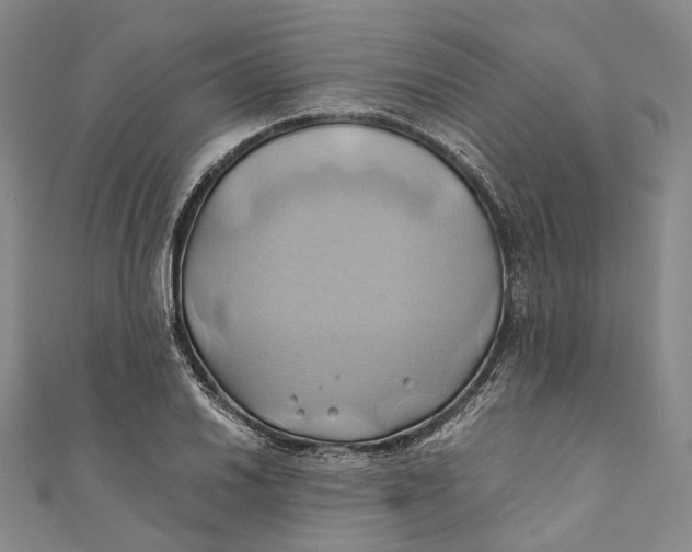 X0000110971030200907101344