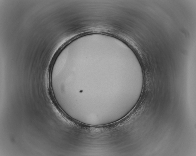 X0000110971032200907101344