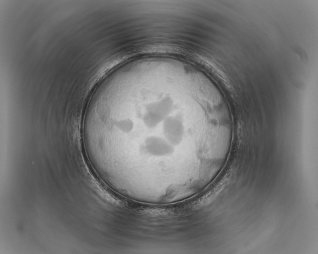 X0000110971033200907101345