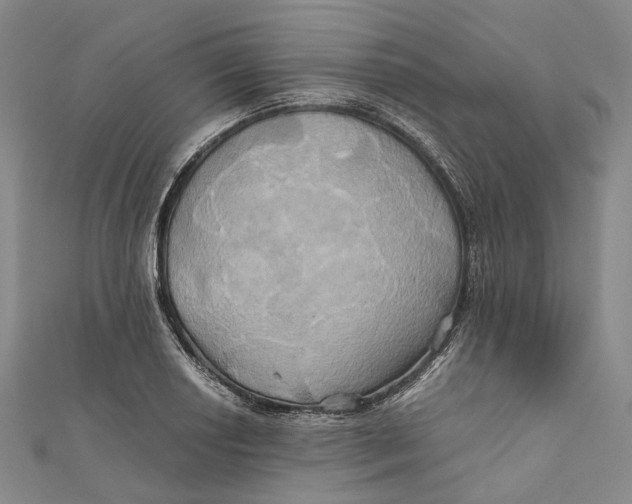 X0000110971034200907101345