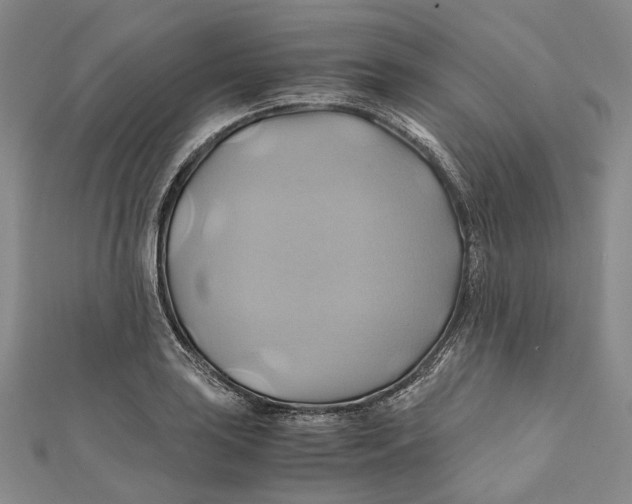 X0000110971035200907101345