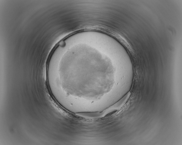 X0000110971036200907101345