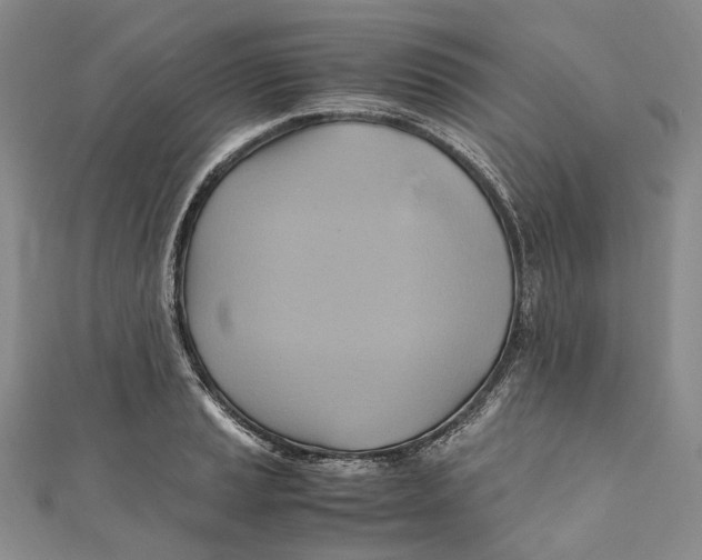 X0000110971037200907101345