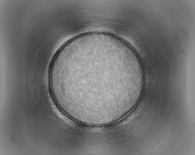 X0000110971038200907101345