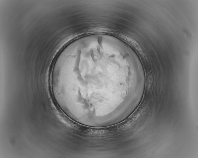 X0000110971039200907101345