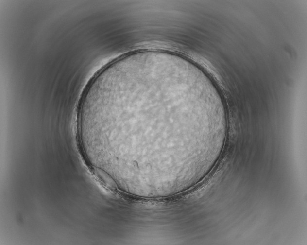 X0000110971040200907101345