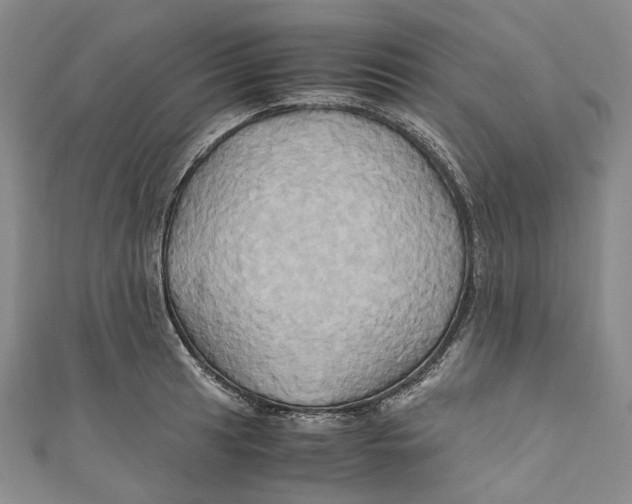 X0000110971041200907101345