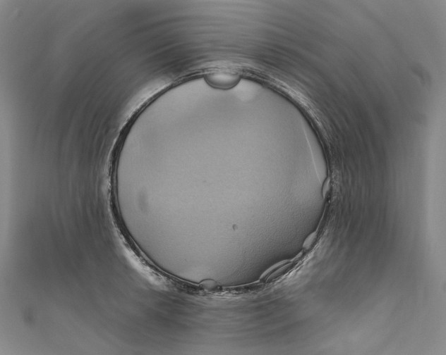 X0000110971042200907101345