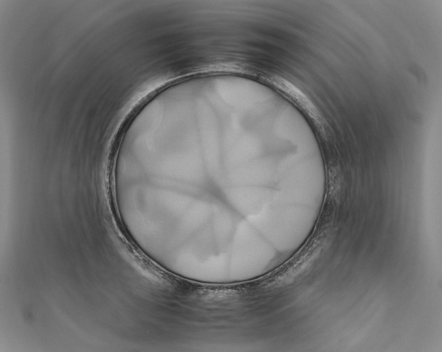 X0000110971043200907101345