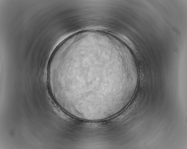 X0000110971044200907101345