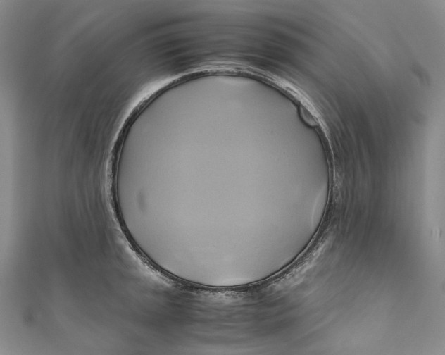 X0000110971045200907101345