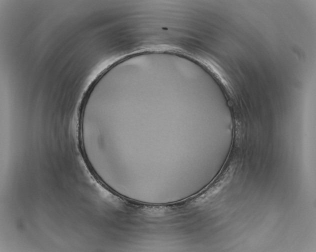 X0000110971046200907101345