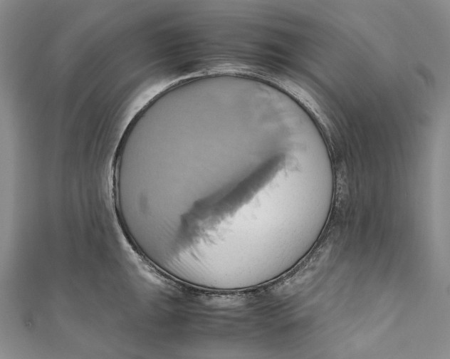 X0000110971047200907101345