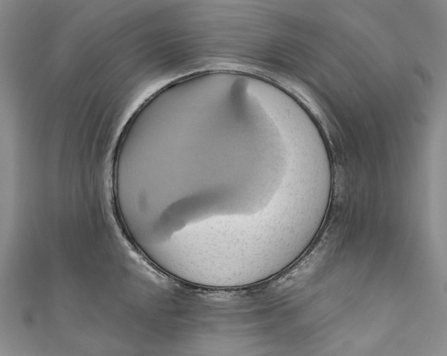 X0000110971048200907101345