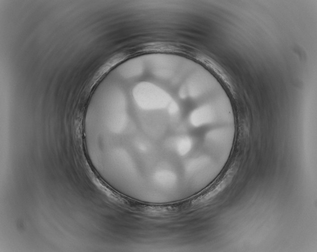 X0000110971049200907101345