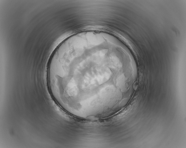 X0000110971050200907101345