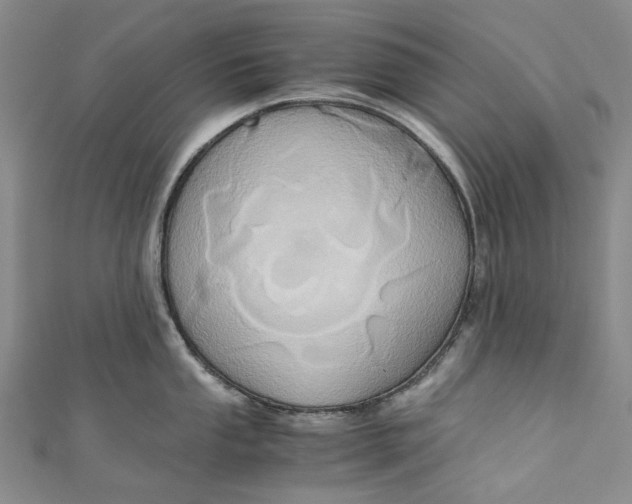 X0000110971053200907101345