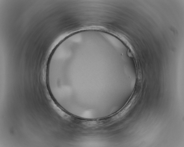 X0000110971054200907101345