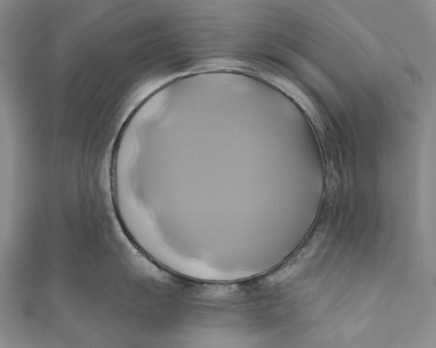 X0000110971055200907101345